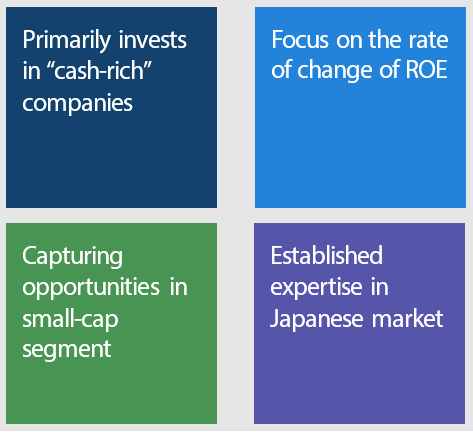Japan Cash-Rich Company Equity Key Characteristics