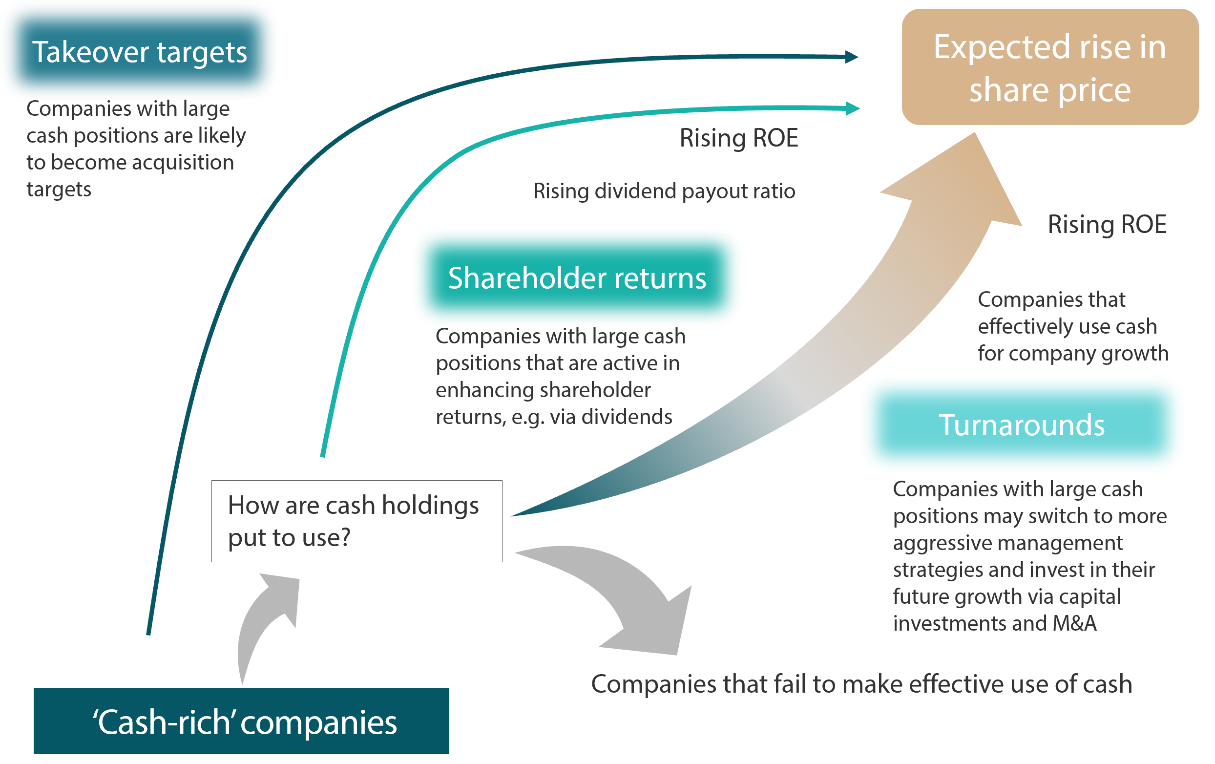 Why invest in “cash-rich” companies?